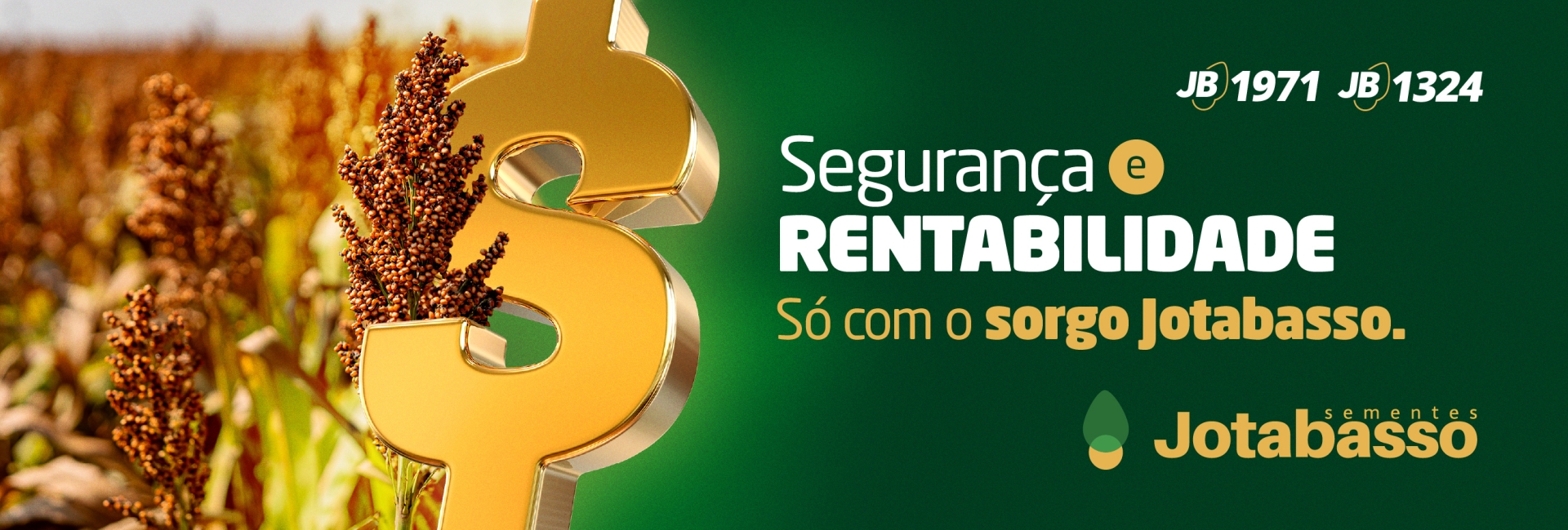 Campanha de Sorgo 2025
