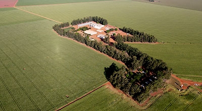 Unidade de Produção São Gabriel do Oeste