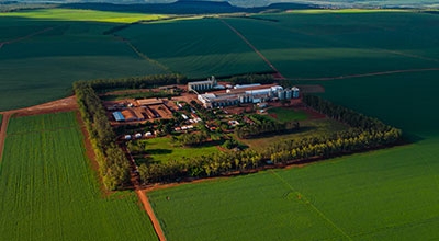 Unidade de Produção Fazenda Verde