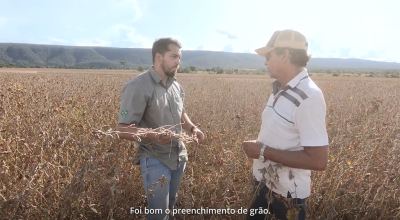 "A semente da Jotabasso nasceu bem, um vigor bom, desenvolveu muito rápido. Logo, logo já começou a se expandir. Semente boa, nasceu bem!"